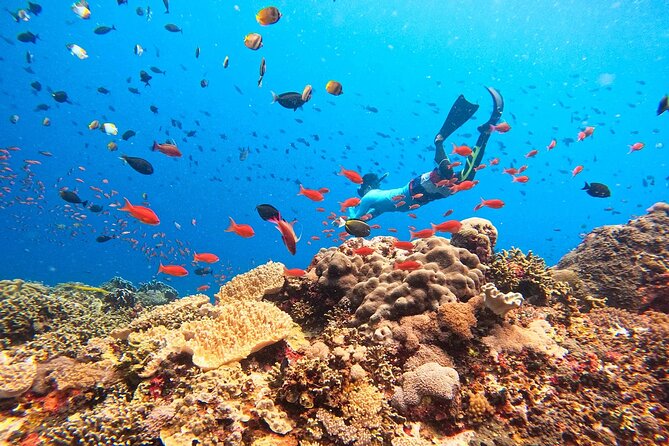 Swim with Manta Rays: Snorkeling Day Trip from Bali - An early start at Sanur Harbor