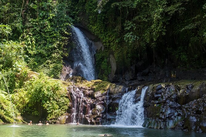 Swimming At Taman Sari Waterfall & Visit The Best Site Of Ubud - A swimming start at Taman Sari Waterfall
