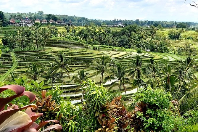 Tanah Lot and Jatiluwih Unesco Rice Terrace Private Tour - Tanah Lot and the sea temple viewpoint