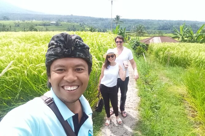 Tanah Lot and North Bali Private Tour - All inclusive - What the private format changes