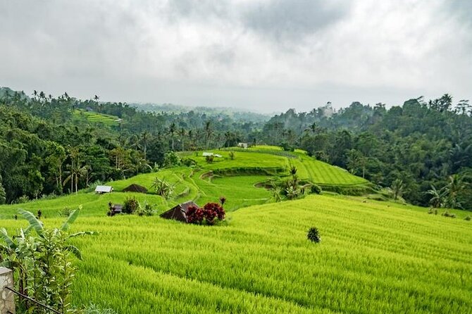 Tanah Lot and North Bali Tour: Scenic Journey - Banyumala Twin Waterfalls and the steep return