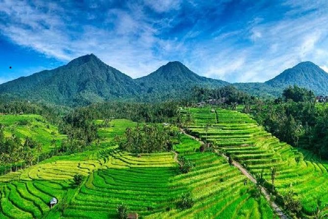 Tanah Lot - Jatiluwih (UNESCO) - Beratan lake -Hidden hill (Wanagiri)-FREE WI-FI - Wanagiri Hidden Hills and the twin-lake photo stops