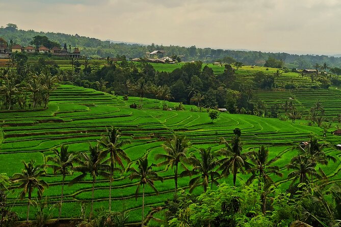 Tanah Lot Tour: Discover Bali’s Iconic Temple and Stunning Views - Suli and the value of a private car
