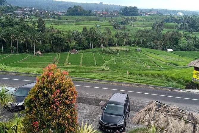 Tanah Lot Tour & North Bali Tour : All-Inclusive Best Experience - Banyumala Twin Waterfalls: the day’s active stop