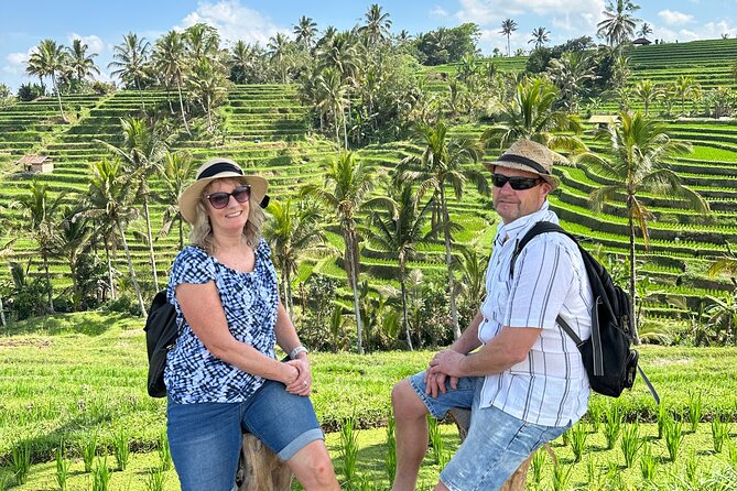 Tanah Lot Tour & North Bali Tour : All-Inclusive Best Experience - Jatiluwih’s 700 hectares of rice country