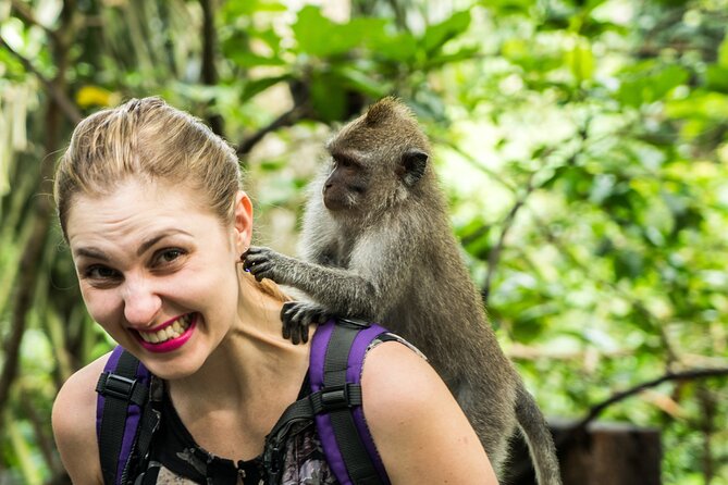 Tanah Lot Tour with Ubud Monkey Forest, Rice Terraces, and Waterfalls - Tegenungan Waterfall in a short half-hour