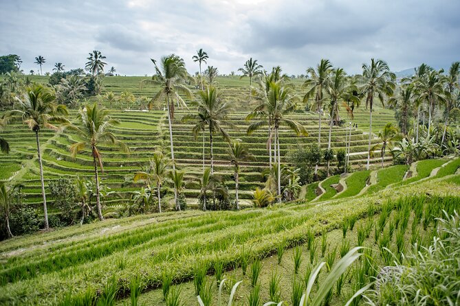 Tanah Lot & UNESCO Heritage Small Group Tour - Who will enjoy this schedule most?