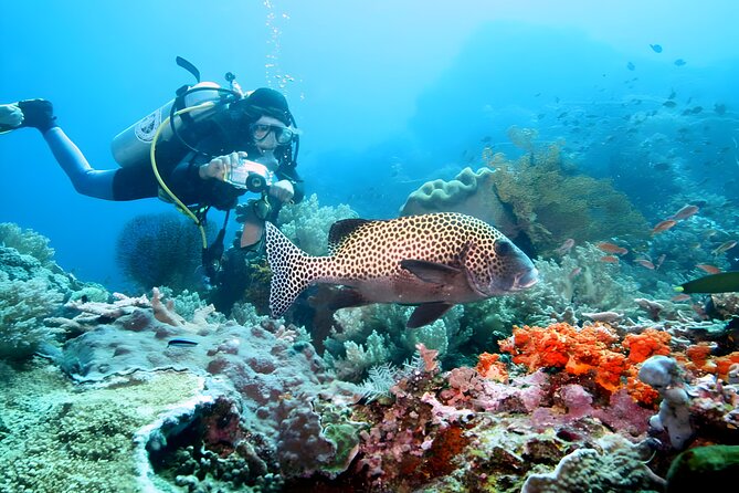 Tanjung Benoa Water Sports: All Inclusive Bali Activities - Why the private transfer adds real value