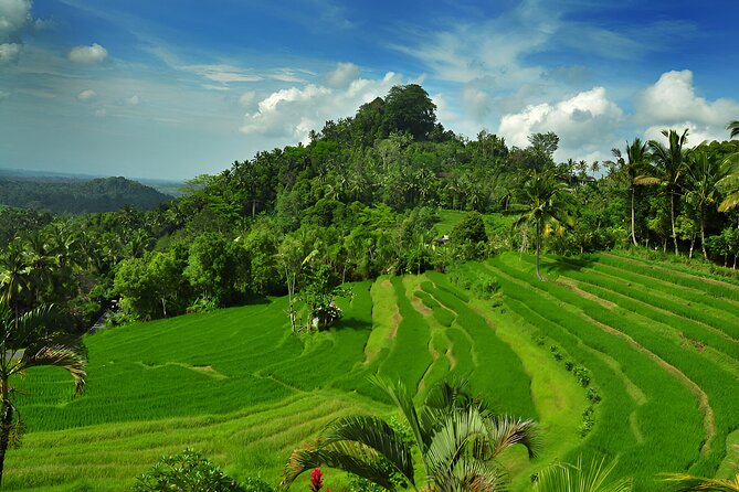 Telaga Waja White Water Rafting and Besakih Temple Tour - Bukit Jambul Rice Terrace and the One-Hour Viewpoint