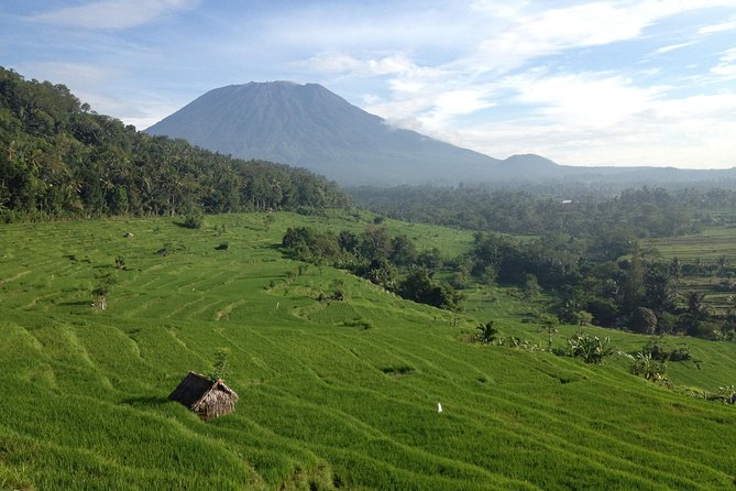 Tenganan Village Rice Field Trekking Tour - Starting in Kastala among working rice fields