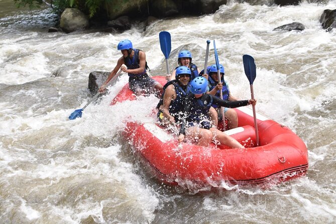 The Best Ayung River Rafting Adventure in Ubud - On the river, from ripples to grade II and III rapids