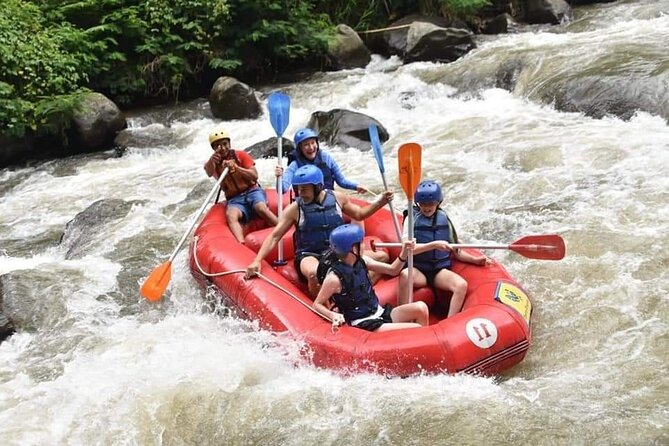 The Best Ayung River Rafting Adventure in Ubud - Who will enjoy this rafting trip most