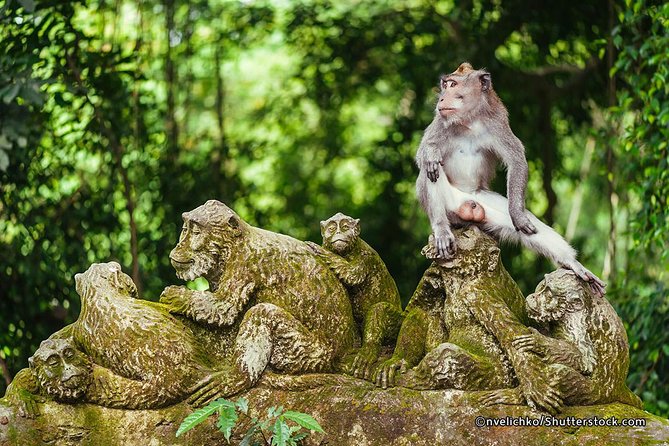 The Best of Ubud Tour and Jungle Swing - Sacred Monkey Forest, your first major stop
