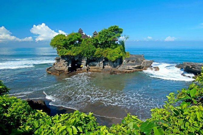 The Three Temples of Bali Half Day Private Tour - Alas Kedaton, monkeys, and a forest shrine