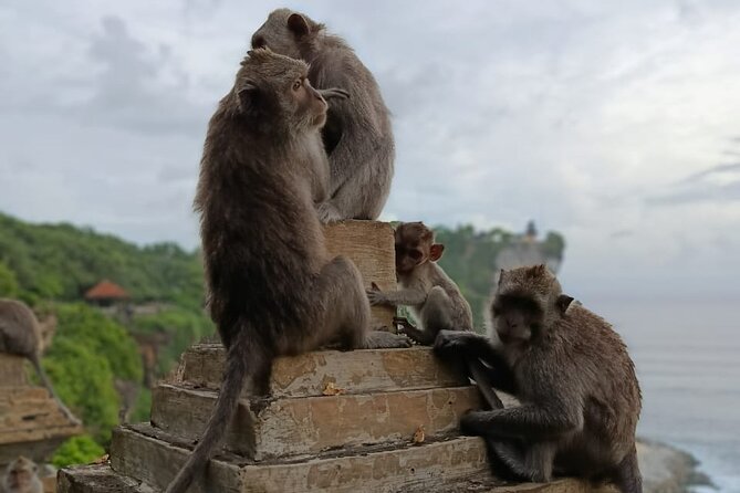 The Uluwatu Tour - Why this eight-hour Uluwatu evening works