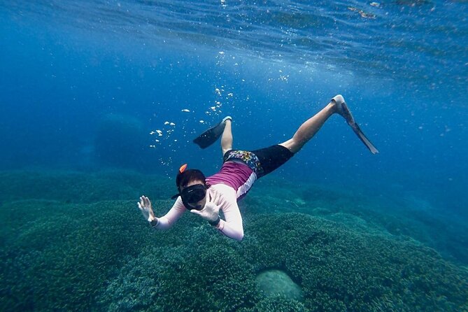 Three Islands Snorkeling (3 Spots) Manta Rays - From Lembongan - What is included for $24