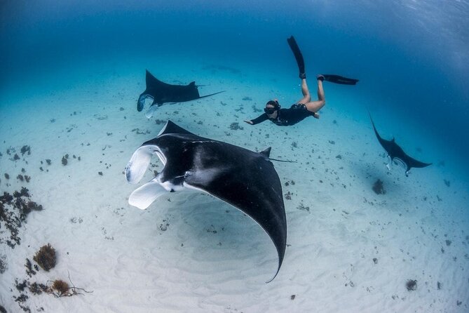 Three Islands Snorkeling (3 Spots) Manta Rays - From Lembongan - Crystal Bay brings clear water and dramatic rock