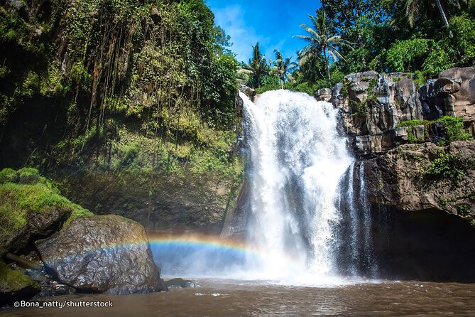 Three Main spot Bali Waterfall with Swing - The Ubud Jungle Swing is optional, not included