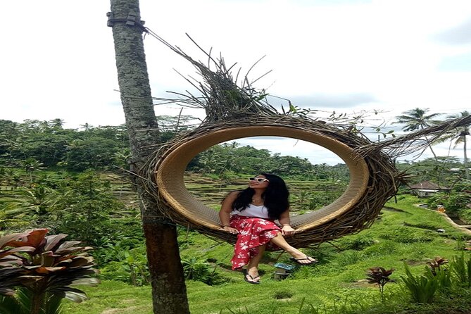 Tlaga Singha Infinity Pool, Jungle swing & Rice Terrace Trip - Timing, comfort, and what to bring