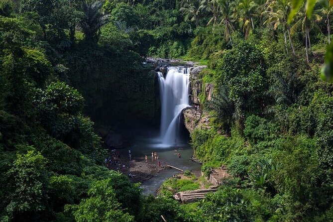 Top Ubud Attractions: Private Full-Day Guided Tour - Tegalalang Rice Terrace and Bali’s farming tradition