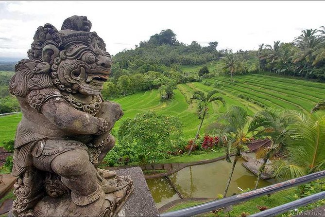 Tour: Besakih Temple-Kintamani Volcano-Water temple&Rice Terrace - Tegalalang Rice Terrace and the photo-stop question