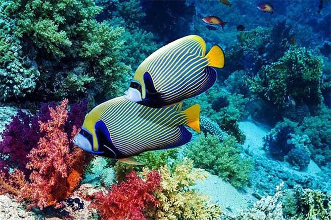 Tour Gate of Heaven at Lempuyang Temple - Blue Lagoon Snorkeling with lunch - Who will enjoy this 10-hour day