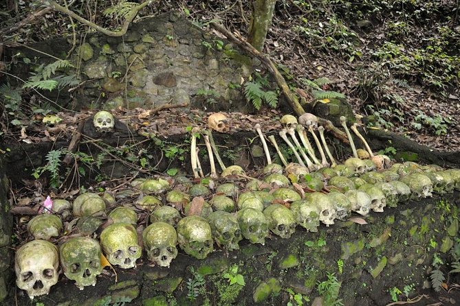 Trunyan Cemetery, Hot Spring, Penglipuran Village, and Waterfall Tour - Why Trunyan makes this Bali day trip different