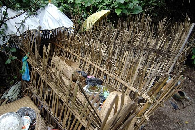 Trunyan Cemetery, Hot Spring, Penglipuran Village, and Waterfall Tour - The private format and guide support