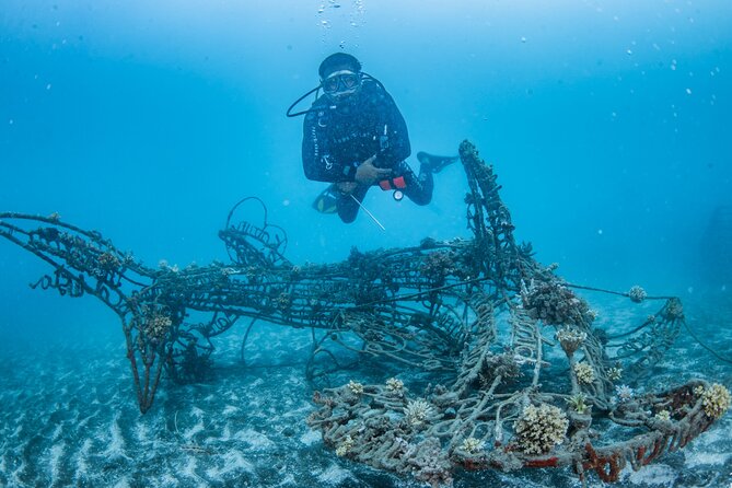 Try Dive Program in the Biorock Pemuteran - Key things to know before booking