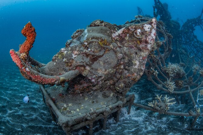 Try Dive Program in the Biorock Pemuteran - What happens after the underwater session