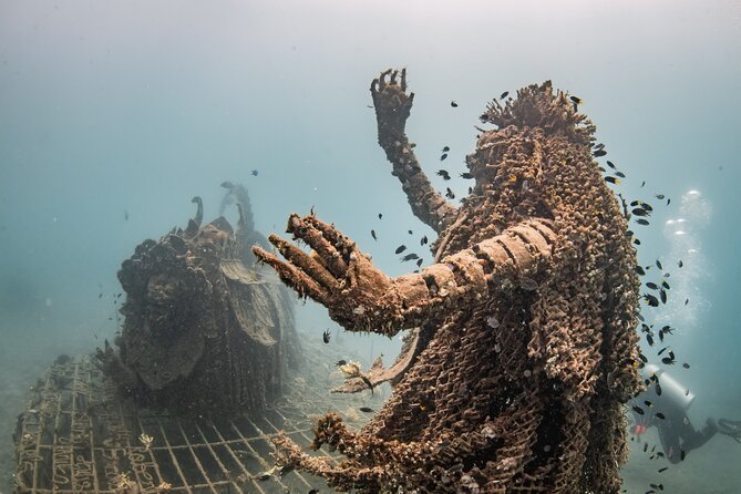 Try Dive Program in the Biorock Pemuteran - Is $51.67 a fair price?