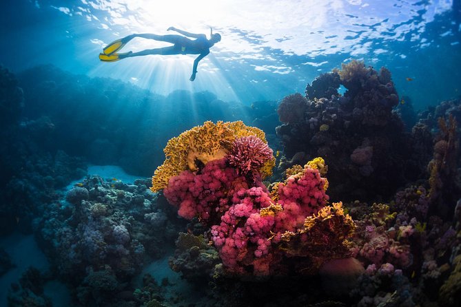 Try Freediving on Nusa Penida - Why four people is the right group size
