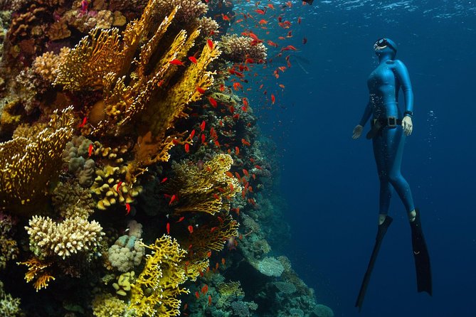 Try Freediving on Nusa Penida - Equipment, water, and underwater photography