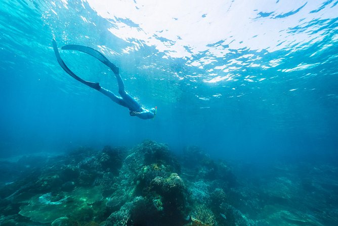 Try Freediving on Nusa Penida - The $150 price and what you receive