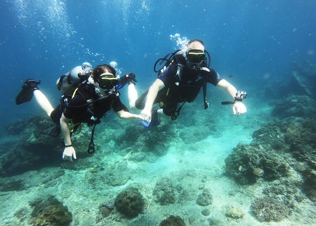 Try Scuba Diving at Padang Bai - Starting at 7 a.m. in Sanur