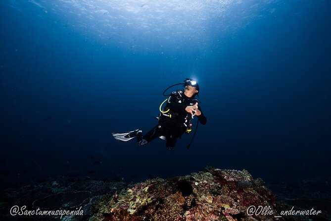 Try Scuba Diving for Beginners with manta rays (Non - Certified) - What the manta encounter may be like