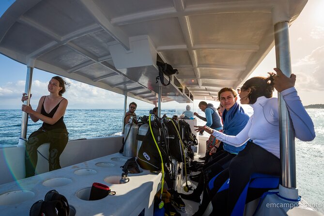 Two fun dives morning trip (Certified Divers only) - First underwater session: let conditions set the route