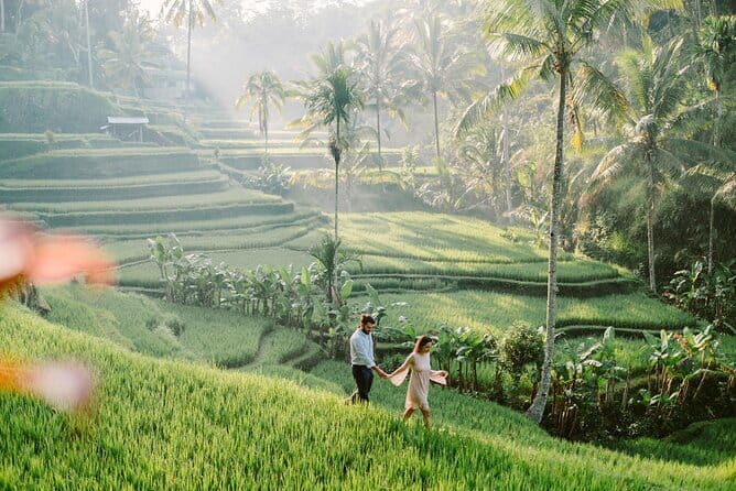 Ubud 1 Day Tour (Private & All-Inclusive) - Is $48.61 a fair price?