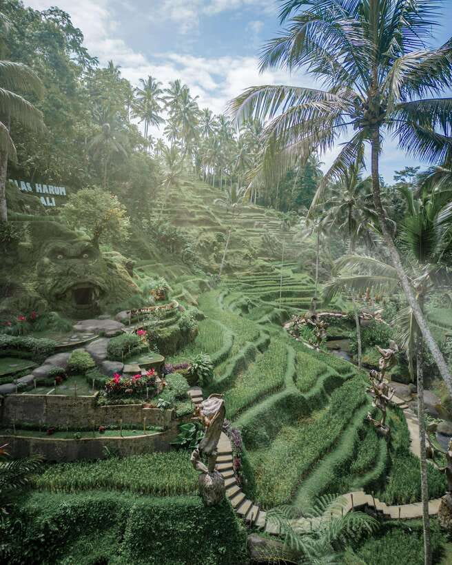 Ubud: Alas Harum Day-Pass, Swing, Sky Bike & Flying Fox - Key points at a glance