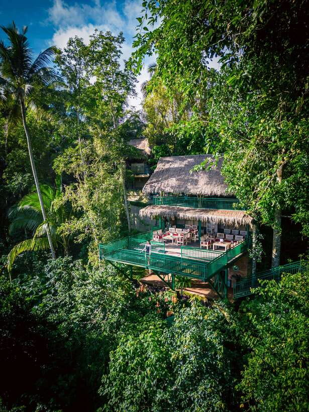 Ubud: Alas Harum Day-Pass, Swing, Sky Bike & Flying Fox - Why Alas Harum is more than a photo stop