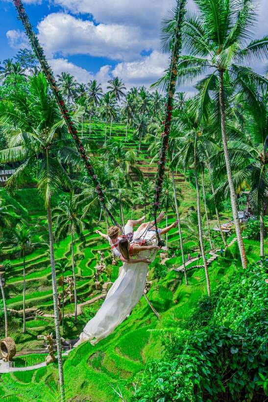 Ubud: Alas Harum Day-Pass, Swing, Sky Bike & Flying Fox - Cretya Ubud’s pools are a separate decision