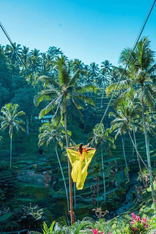 Ubud: Alas Harum Day-Pass, Swing, Sky Bike & Flying Fox - Stairs, safety, and physical effort
