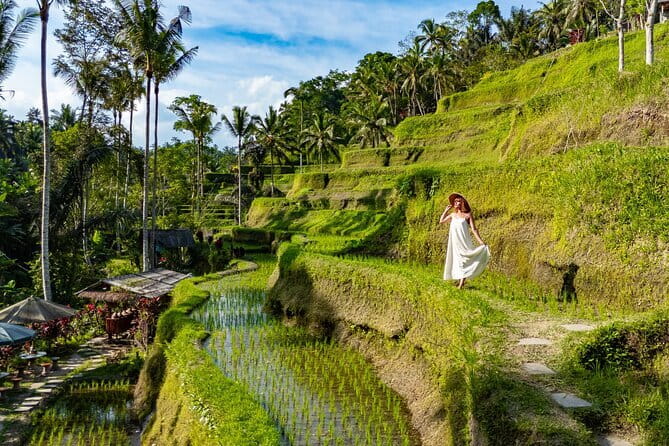 Ubud All-Inclusive Tour with Swing and Lunch - Key points at a glance