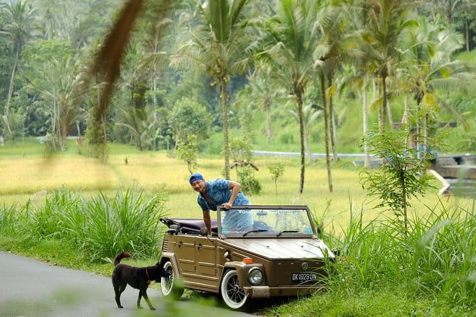 Ubud All-Inclusive Tour with Swing and Lunch - Tirta Empul and Balinese purification