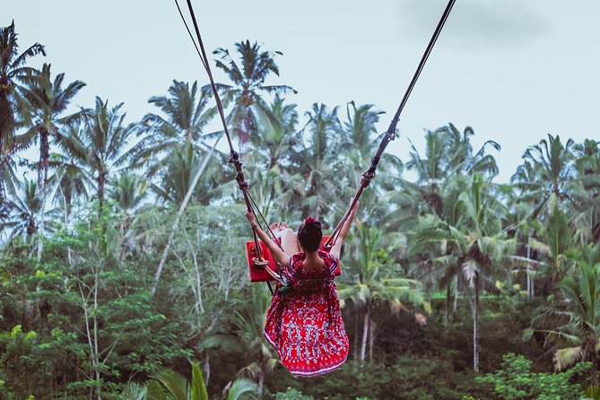 Ubud and Tanah Lot Temple Small Group Sunset Tour - Ubud Monkey Forest, with your belongings watched