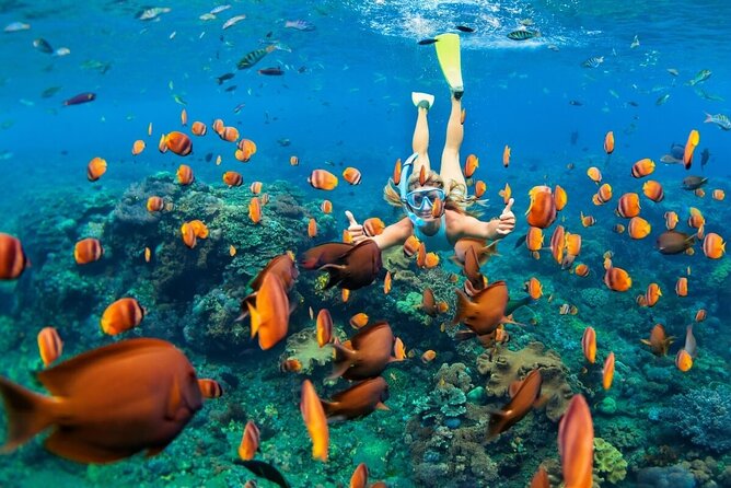 Ubud ATV Quad Bike and Snorkeling at Blue Lagoon Beach - Blue Lagoon and Tanjung Jepun snorkeling