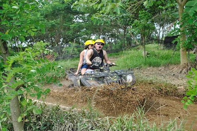 Ubud ATV Quad Bike, Monkey Forest and Rice Terrace - Monkey Forest: a calmer change of pace