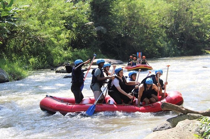 Ubud ATV Quad Bike with Ayung River Rafting Experience - Lunch and equipment make the $31 price more useful