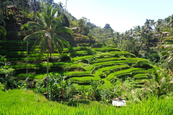 Ubud ATV ride Adventure and water rafting - Pickup, timing, and the one service concern