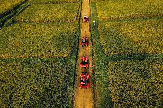 Ubud ATV Ride through River Jungle Rice Fields Puddles - Who should book this Bali adventure
